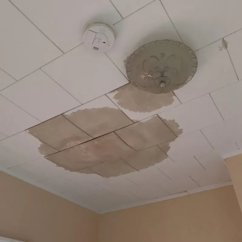 Ceiling Water Damage Repair in Euharlee, GA