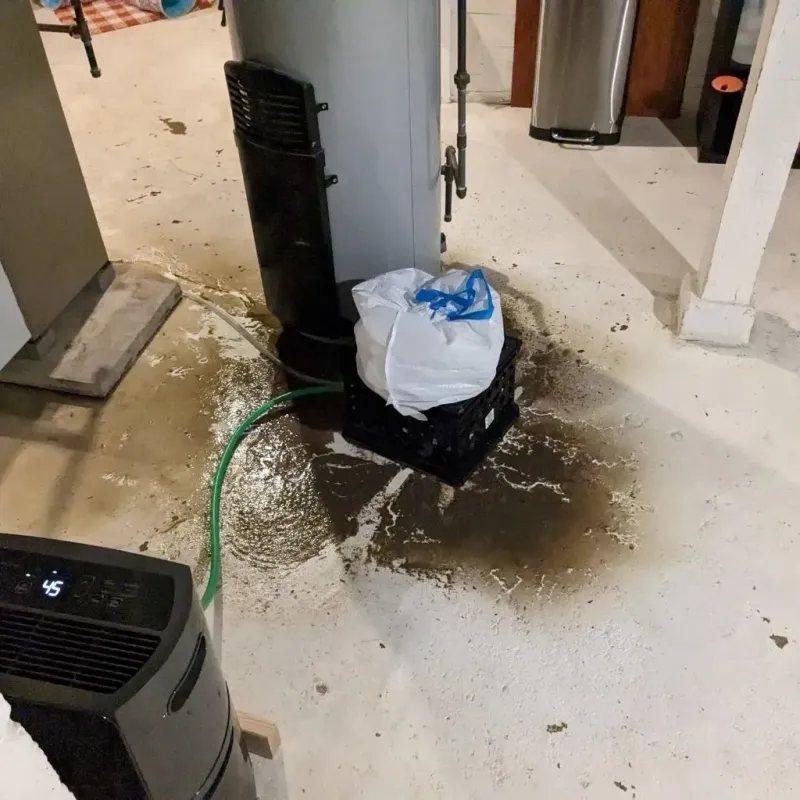 Sewage Backup Cleanup Service in Euharlee, GA